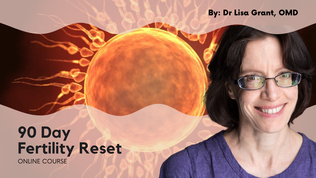 90 Day Fertility Reset