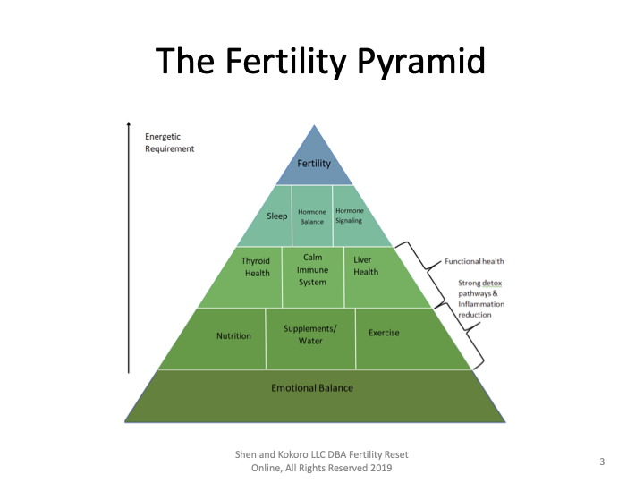 Your Fertility Pyramid — lifestyle foundation, mid-level health factors, eggs and lining at the apex